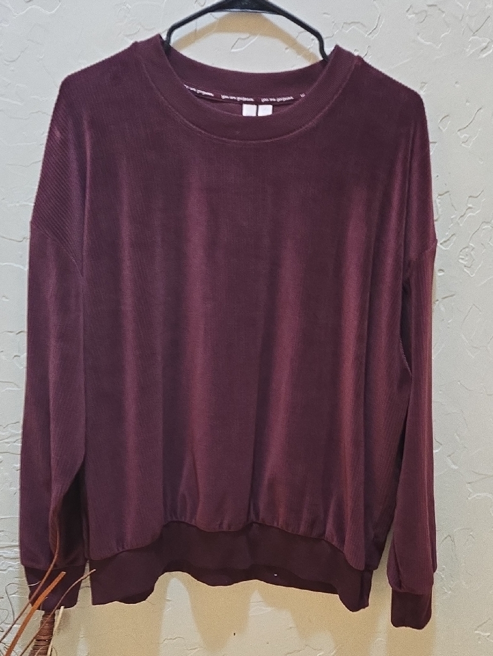 Velvet Relaxed Crewneck Sweatshirt in Burgundy